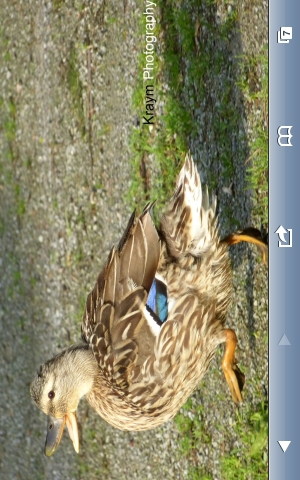 iPhone live: iFile from Jul 10 12:13:40