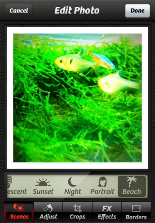 iPhone live: iFile from Sep 15 9:30:47