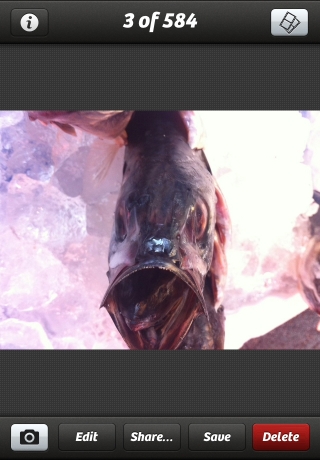 iPhone live: iFile from Oct 24 14:54:10