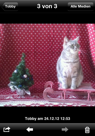 iPhone live: iFile from Dec 24 15:53:16