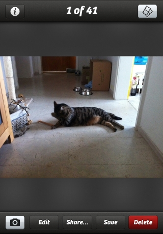 iPhone live: iFile from Feb 28 11:20:44