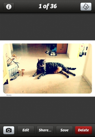 iPhone live: iFile from Feb 28 11:26:52