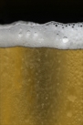 iPhone live: iBeer from Apr 12 0:03:09
