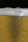 iPhone live: iBeer from Apr 20 12:47:30