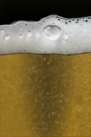 iPhone live: iBeer from Apr 27 18:52:09