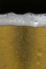 iPhone live: iBeer from Apr 27 21:20:32