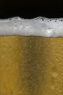 iPhone live: iBeer from Jun 16 18:05:53
